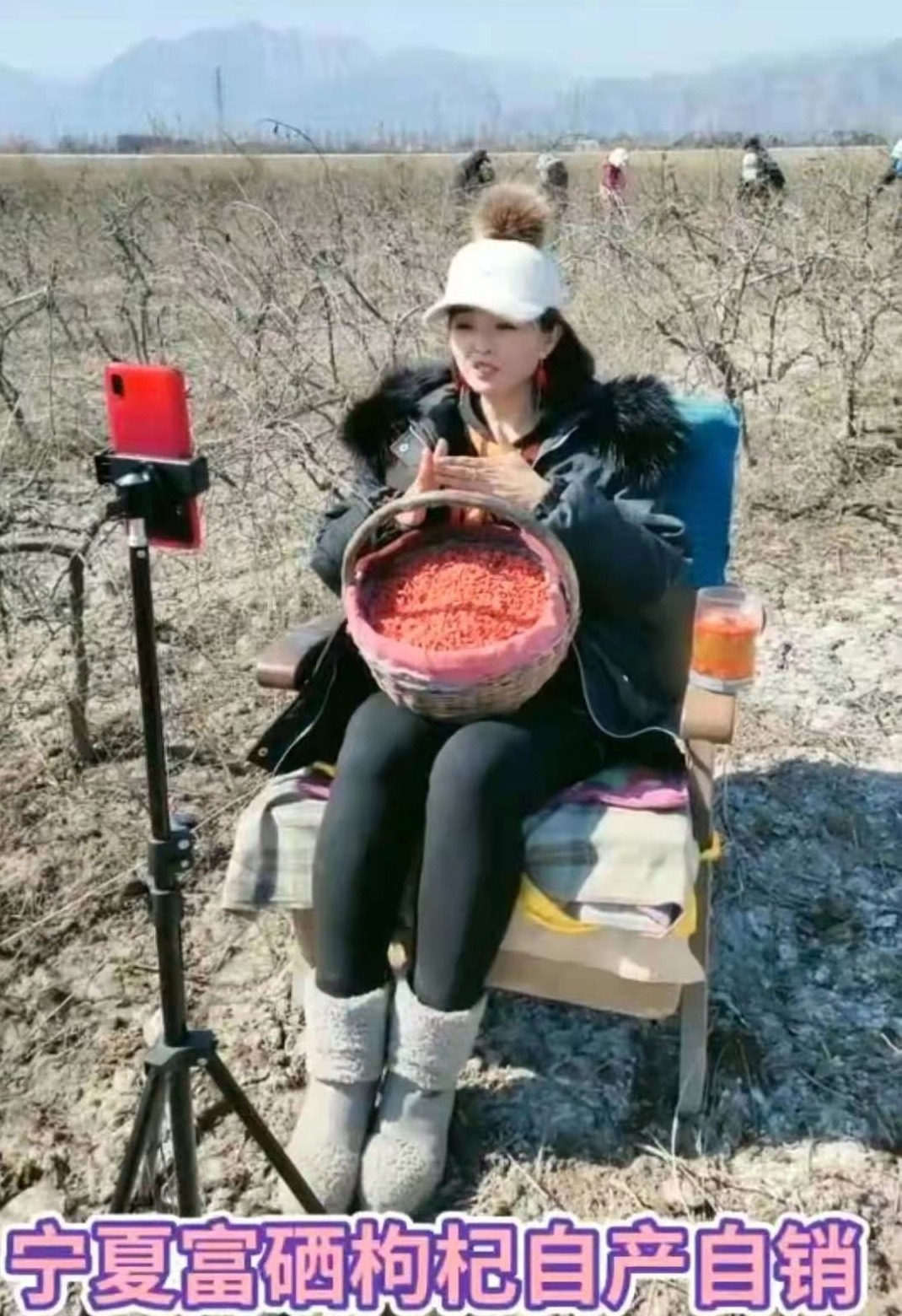 富硒产品电商取名（富硒产品品牌）-硒宝网