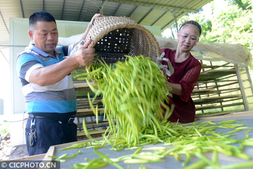 寿宁富硒富锌产品（富硒富锌是什么意思）-硒宝网