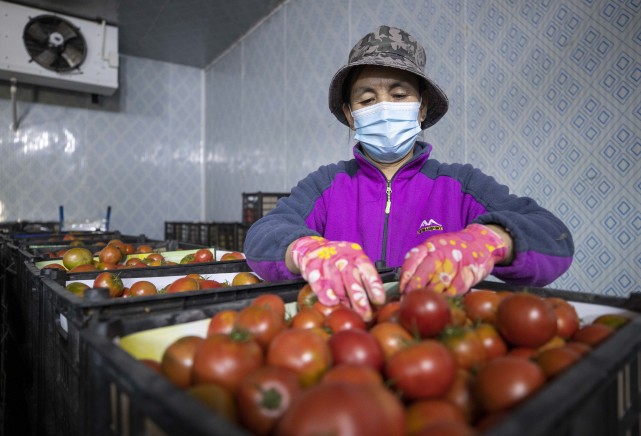 发展富硒产品预算(富硒产业发展方向)-硒宝网