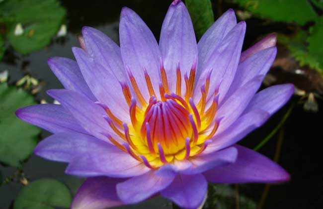 发展富硒产品预算(富硒产业发展方向)-硒宝网