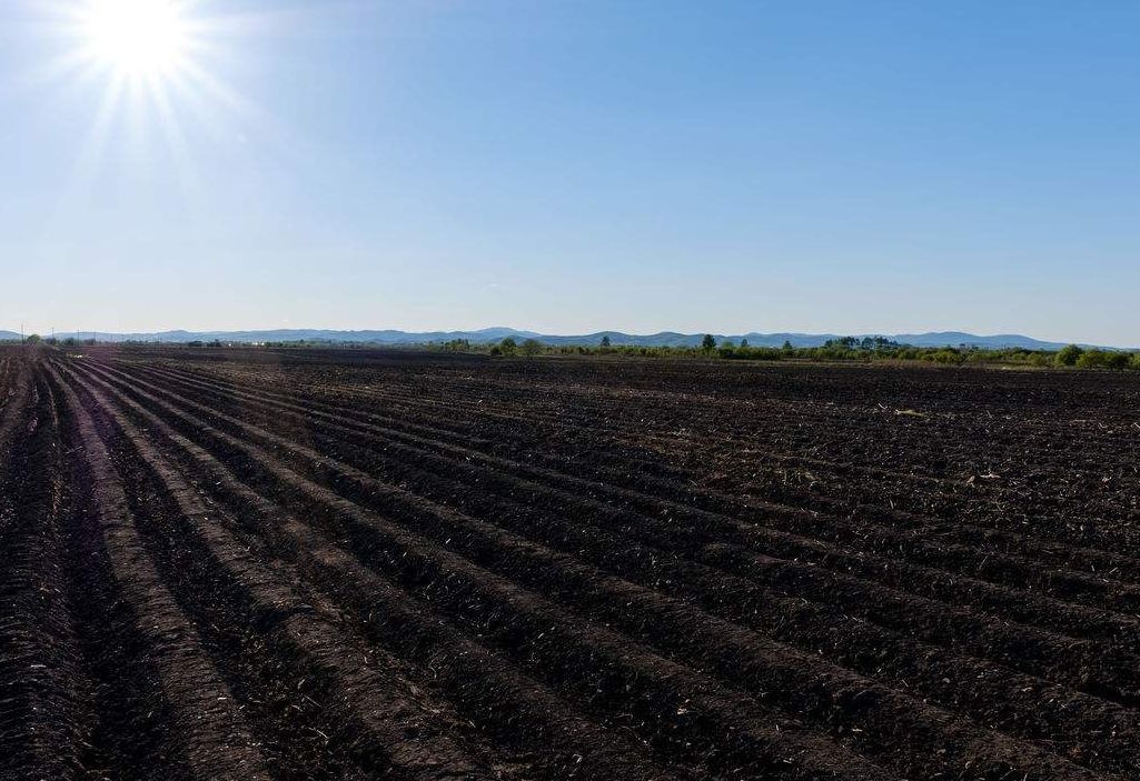 广西富硒农产品展(广西富硒)-硒宝网