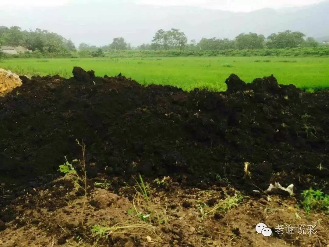 广西富硒农产品展(广西富硒)-硒宝网