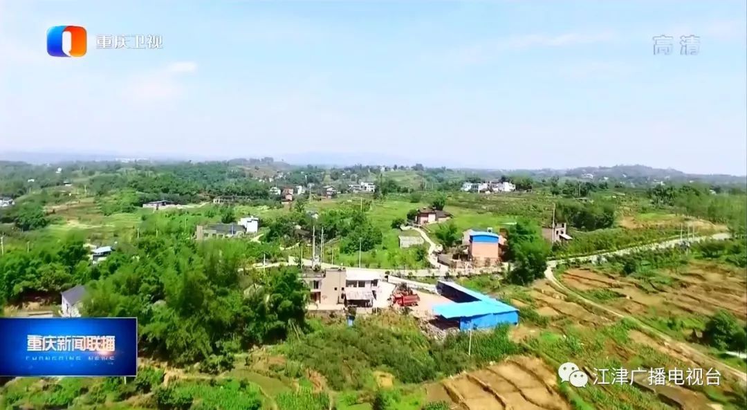 江津富硒产品介绍(江津富硒产品有哪些)-硒宝网