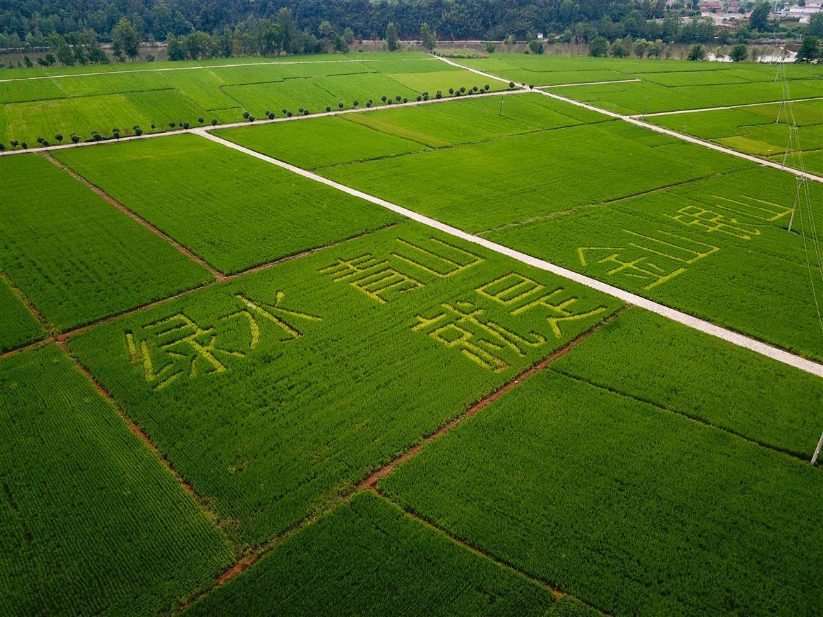 湖北富硒产品基地（湖北基地富硒产品介绍）-硒宝网