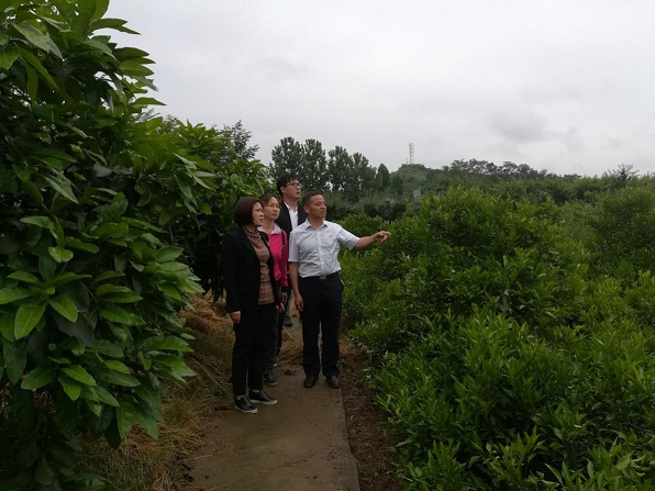 达州富硒产品特色(达州特色富硒产品推荐)-硒宝网