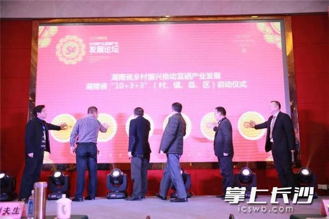 湖南富硒产品教授(湖南富硒农产品网)-硒宝网