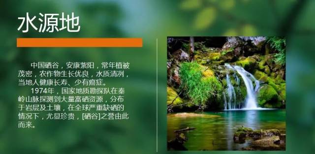 富硒产品营销演讲（富硒产品销售方案）-硒宝网