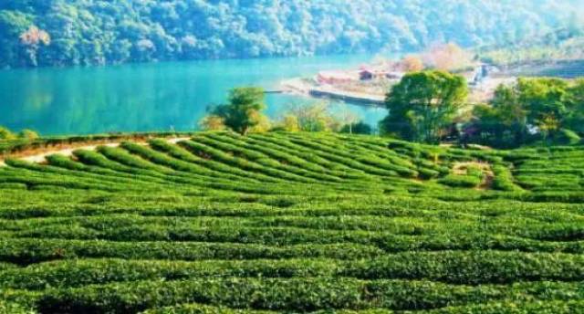 富硒产品营销演讲（富硒产品销售方案）-硒宝网