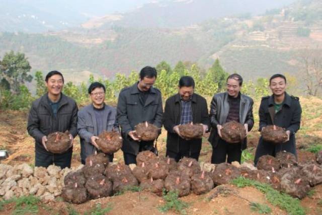 富硒产品营销演讲（富硒产品销售方案）-硒宝网