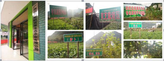 生态长寿富硒产品(长寿生态富硒产品有哪些)-硒宝网