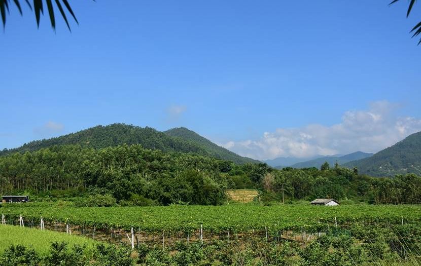 怎么发展富硒产品（富硒产品开发）-硒宝网