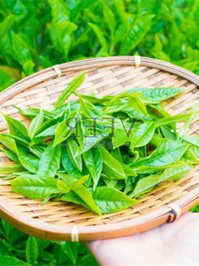 陕西富硒产品排名（陕西排名富硒产品有哪些）-硒宝网