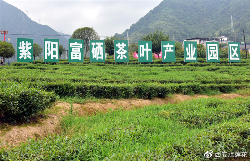 安康富硒产品销路（安康富硒食品）-硒宝网