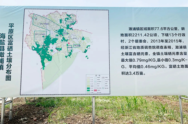 福建天然富硒产品（福建富硒葡萄哪里的最甜）-硒宝网