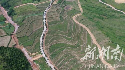 新田富硒产品视频（新田富硒米多少钱一斤）-硒宝网