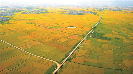 江津富硒产品课题(课题江津富硒产品研究)-硒宝网