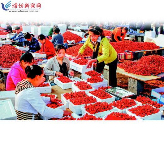 安丘富硒产品基地（富硒种植基地）-硒宝网