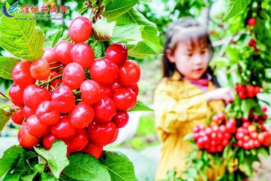 安丘富硒产品基地（富硒种植基地）-硒宝网