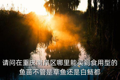 江津富硒产品攻略（江津富硒农产品专卖店）-硒宝网