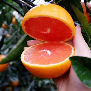 江津富硒产品脐橙（江津富硒茶叶）-硒宝网