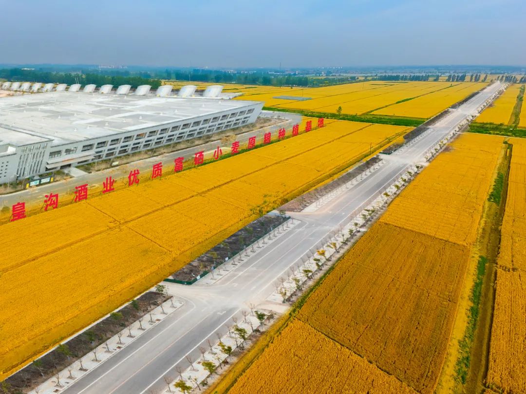 河南洛阳富硒产品（洛阳富硒地）-硒宝网