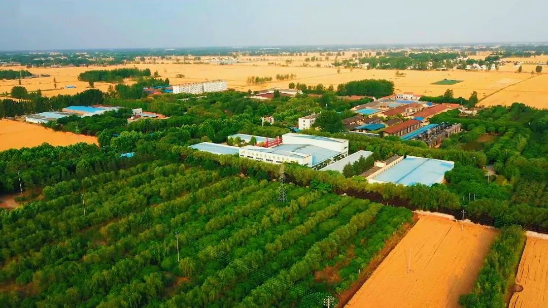 河南洛阳富硒产品（洛阳富硒地）-硒宝网