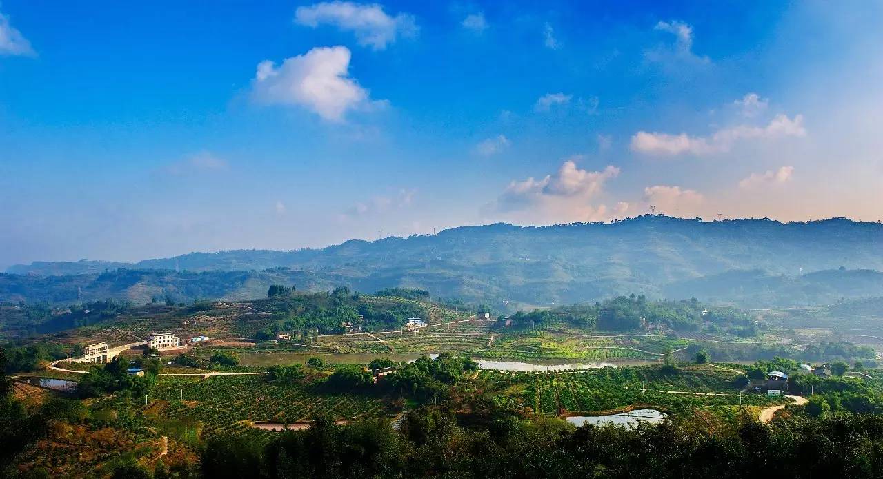 江津富硒产品攻略(江津富硒含量地图)-硒宝网