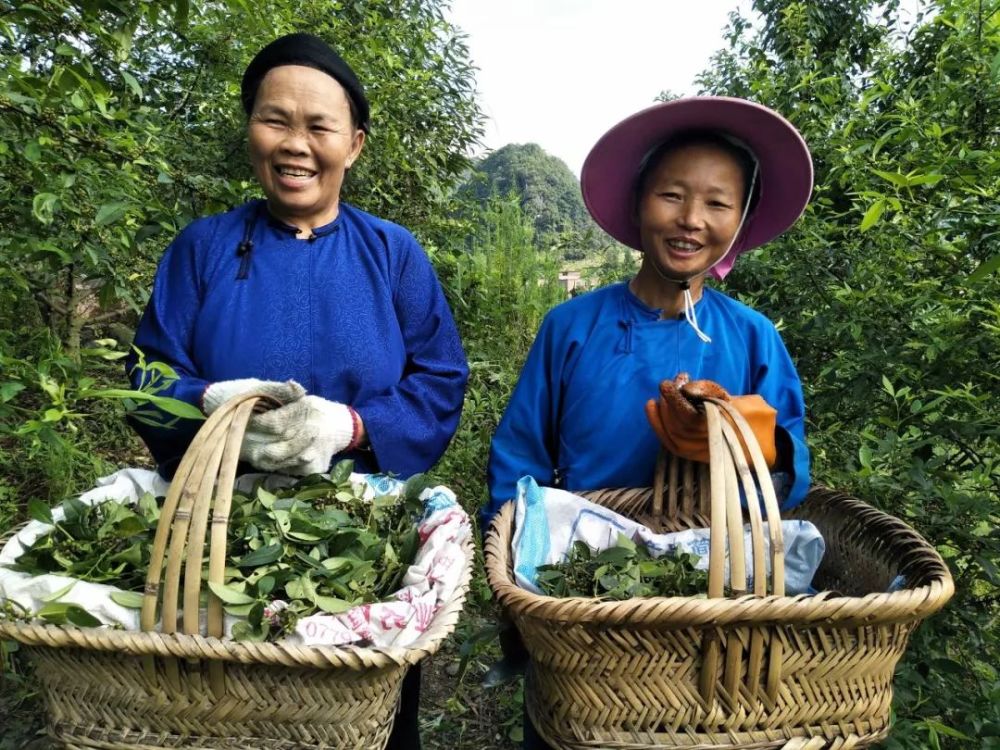 江津富硒产品攻略（江津富硒产品有哪些）-硒宝网