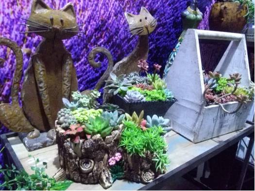 国际富硒产品需求（需求富硒国际产品有哪些）-硒宝网