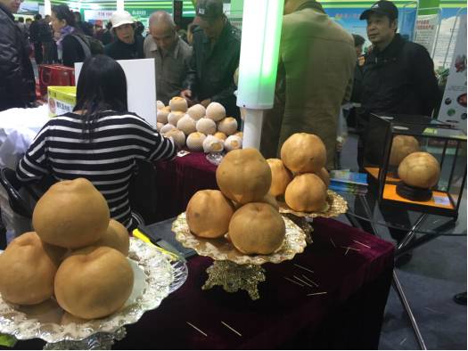 国际富硒产品需求（需求富硒国际产品有哪些）-硒宝网