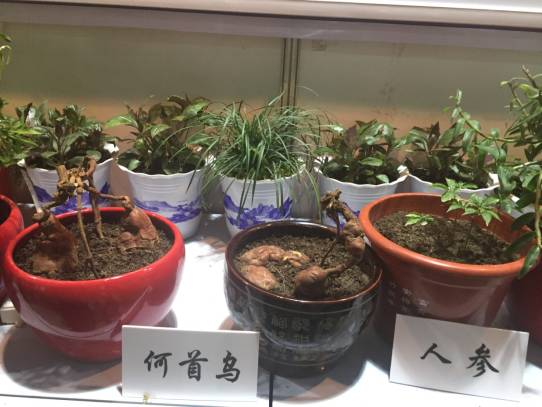 国际富硒产品需求（需求富硒国际产品有哪些）-硒宝网