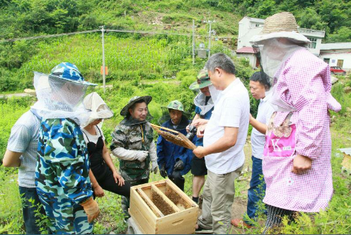 安康富硒农业产品（安康市富硒产业）-硒宝网
