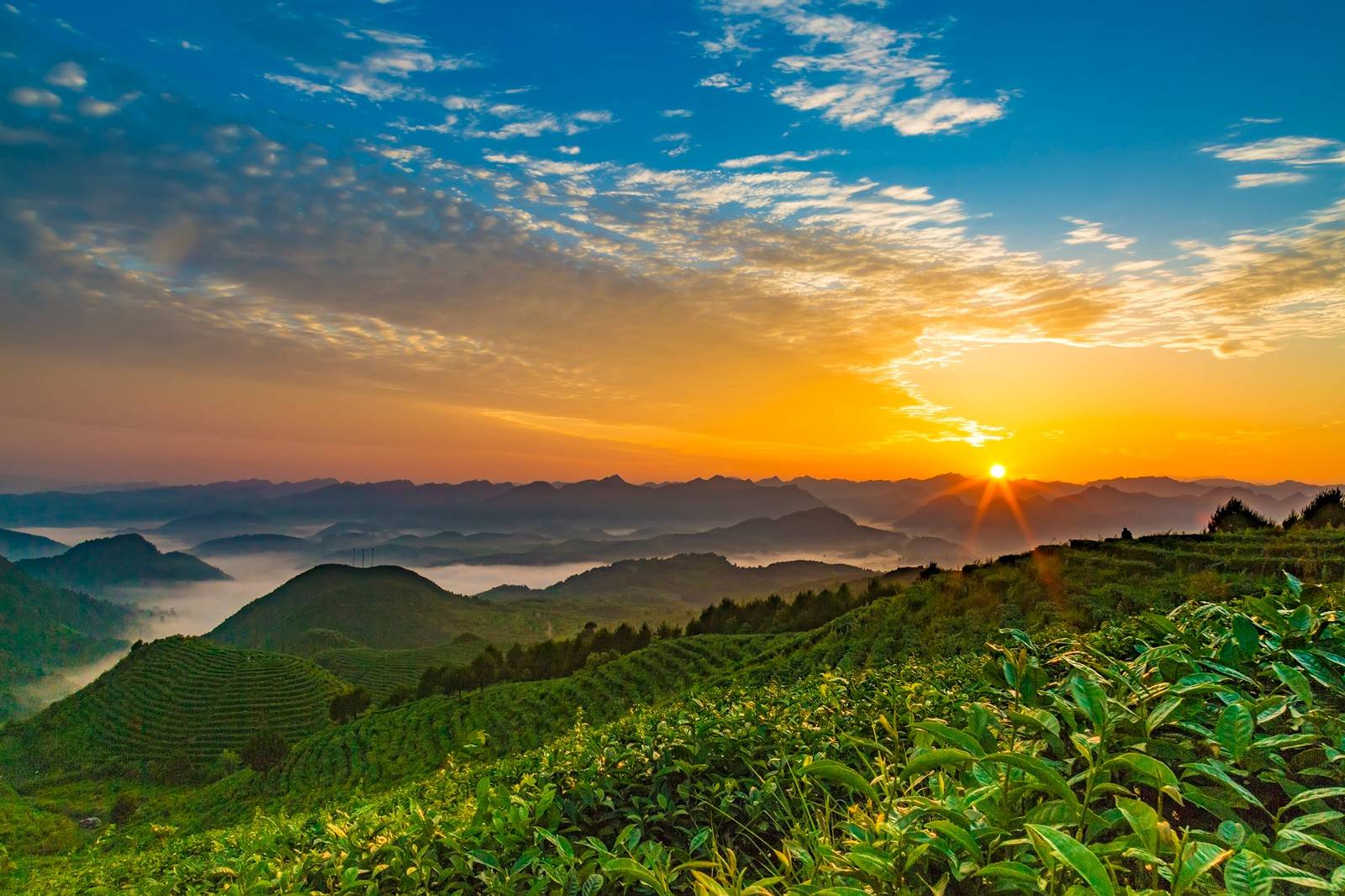 安康富硒农业产品（安康市富硒产品有哪些）-硒宝网