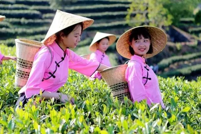 富硒产品生产规程（规程生产富硒产品有哪些）-硒宝网