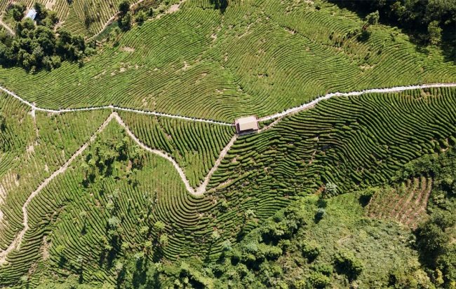 安康富硒农业产品（安康农业富硒产品介绍）-硒宝网
