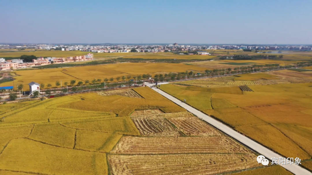 富硒产品如何高产(高产富硒产品推荐)-硒宝网