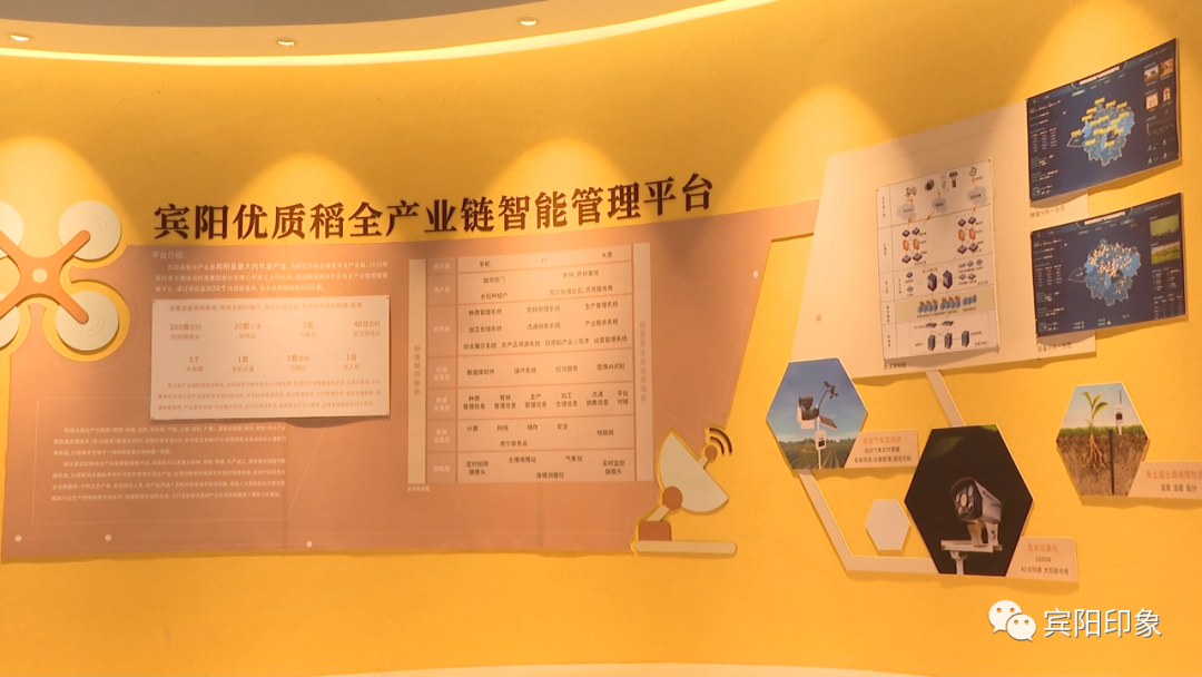 富硒产品如何高产(高产富硒产品推荐)-硒宝网