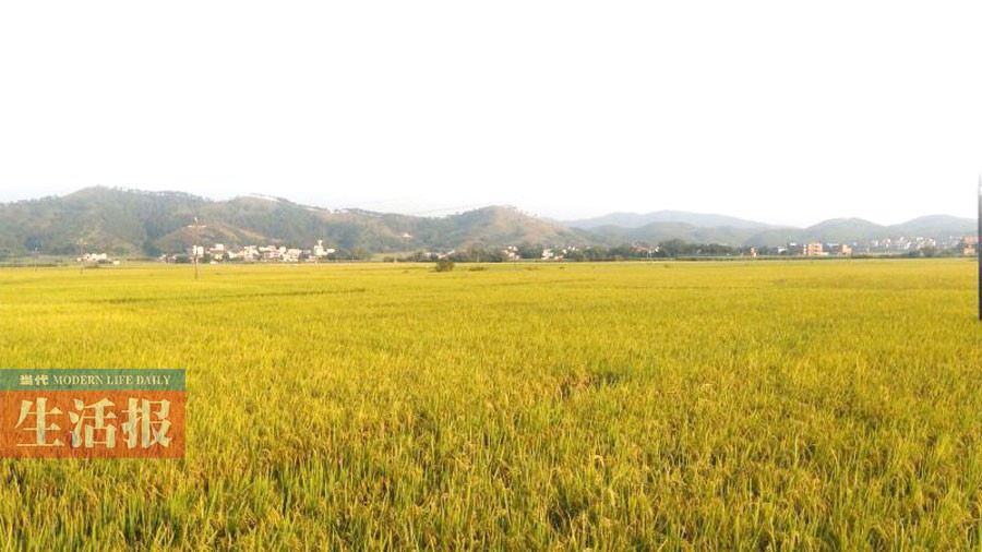 富硒产品哪种最好(富硒产品品牌)-硒宝网