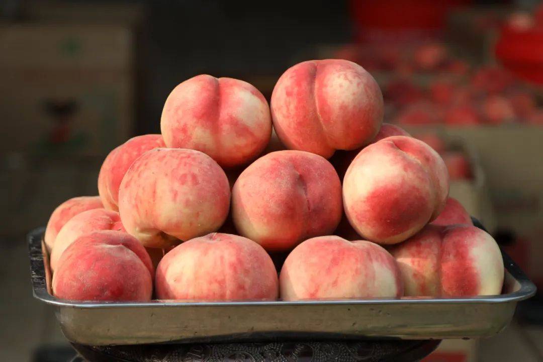 政府支持富硒产品(国家对富硒农产品发展政策)-硒宝网