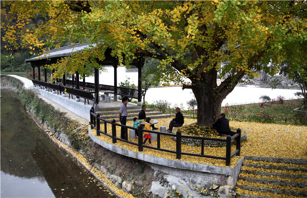 富硒产品项目包装（包装富硒项目产品设计）-硒宝网