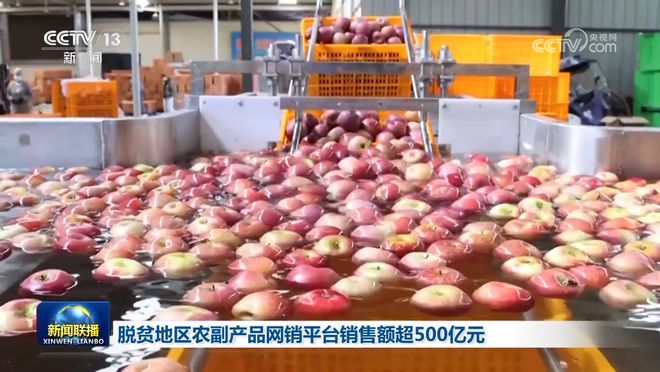 桃源富硒产品批发（批发桃源富硒产品多少钱）-硒宝网