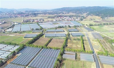 宜春富硒产品招商(宜春富硒产业)-硒宝网