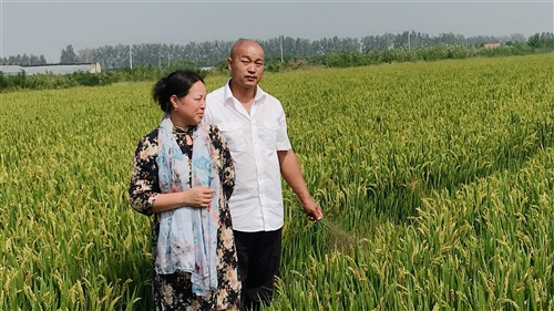 武汉富硒产品集资(集资武汉富硒产品骗局揭秘)-硒宝网