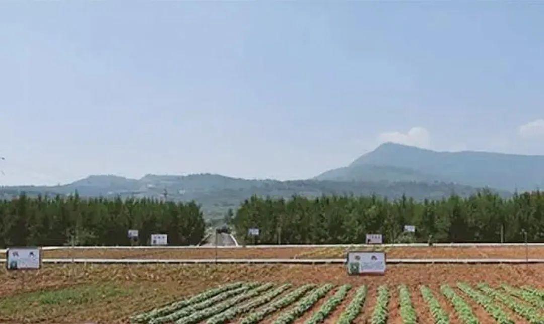 山西富硒农业产品(山西农业富硒产品介绍)-硒宝网