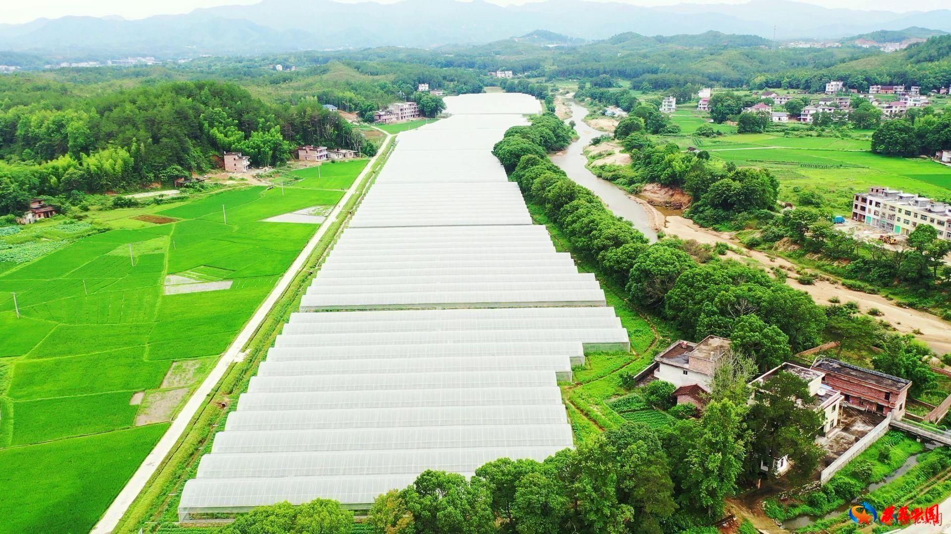 湖南富硒产品平台（湖南富硒产业协会）-硒宝网