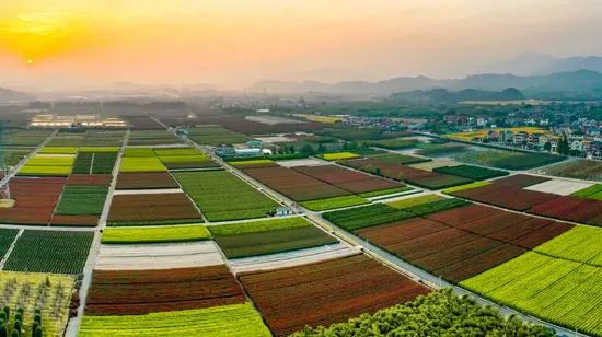 丰城富硒产品介绍（丰城富硒）-硒宝网