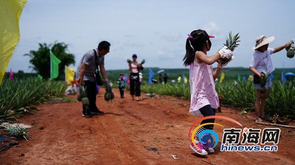 澄迈富硒农业产品（澄迈富硒福地）-硒宝网