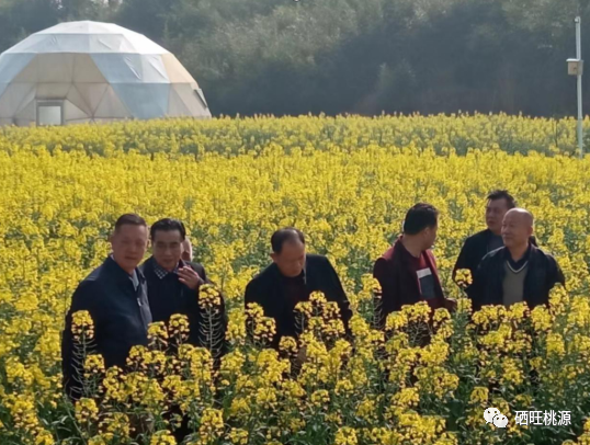 湖南桃源富硒产品(湖南桃源富硒产品批发)-硒宝网