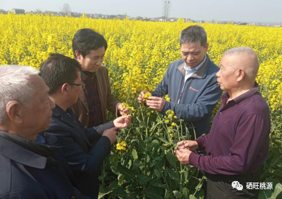 湖南桃源富硒产品(湖南桃源富硒产品批发)-硒宝网