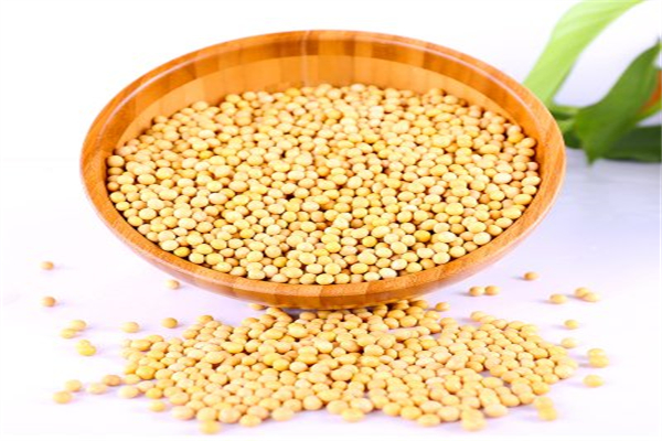 富硒产品经营理念(富硒产品的市场营销)-硒宝网